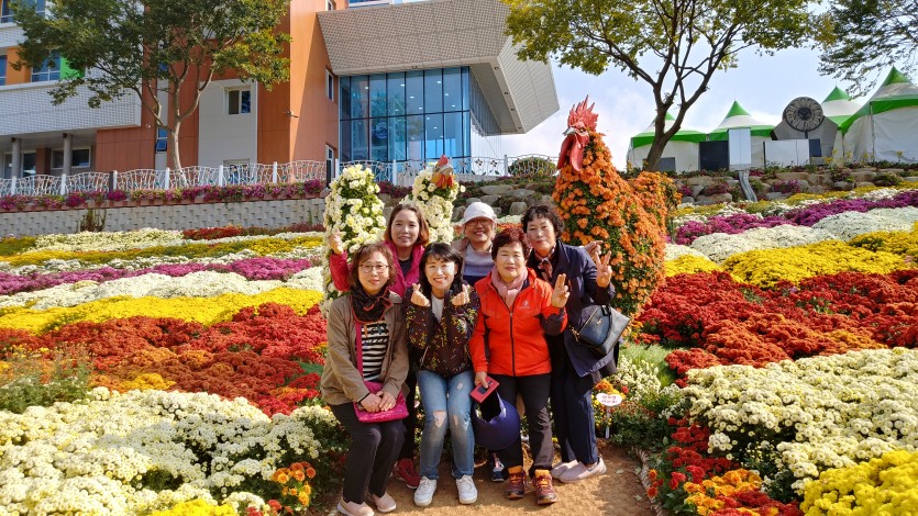 c79005067afd703f5c8cdde1513a5868_1573115957_0535.jpg